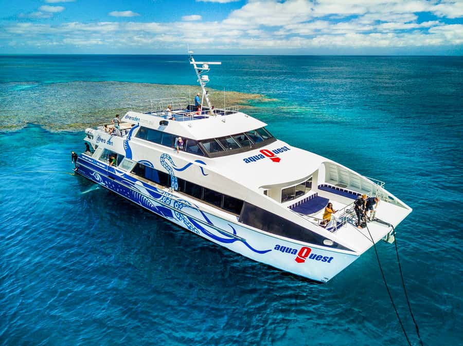 Cairns: Premium Snorkelling and Diving Reef Day Trip - Key points to know before booking