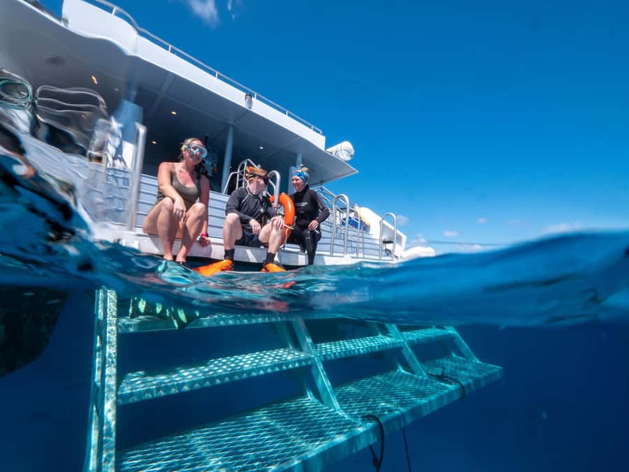 Cairns: Premium Snorkelling and Diving Reef Day Trip - Who will get the most from this trip