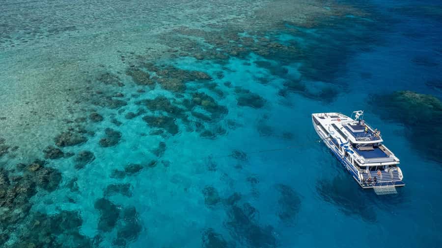 Cairns: Premium Snorkelling and Diving Reef Day Trip - AquaQuest is built for getting in and out easily