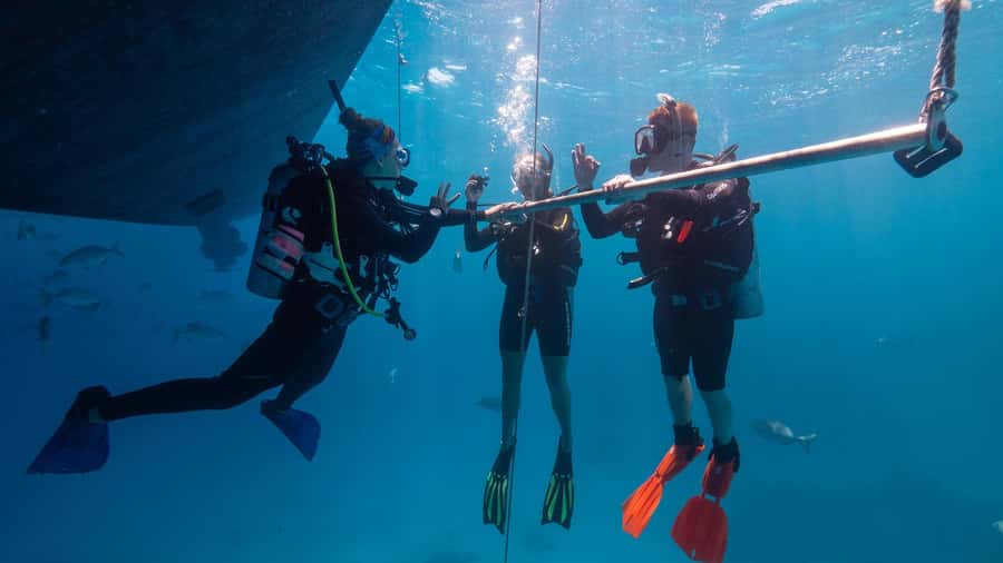Cairns: Premium Snorkelling and Diving Reef Day Trip - First reef stop: the longest session of the day
