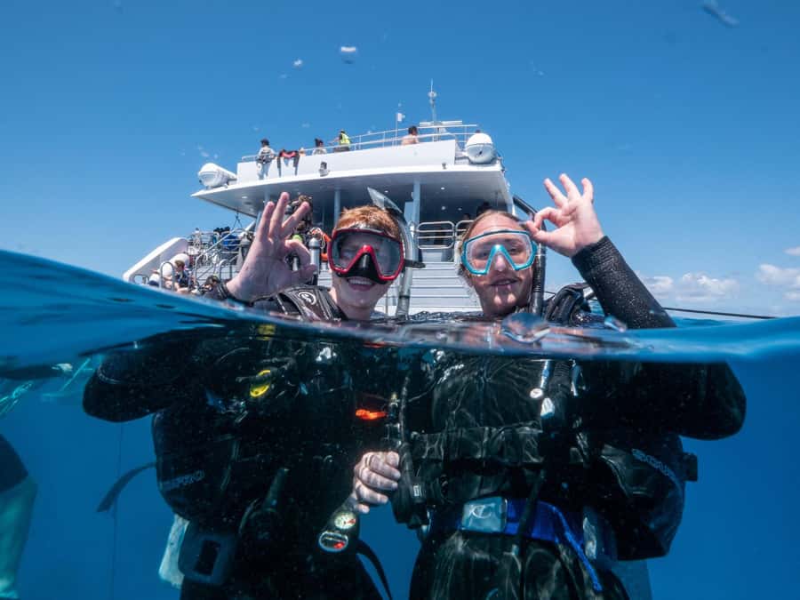 Cairns: Premium Snorkelling and Diving Reef Day Trip - Second reef stop: shorter, but still worth using