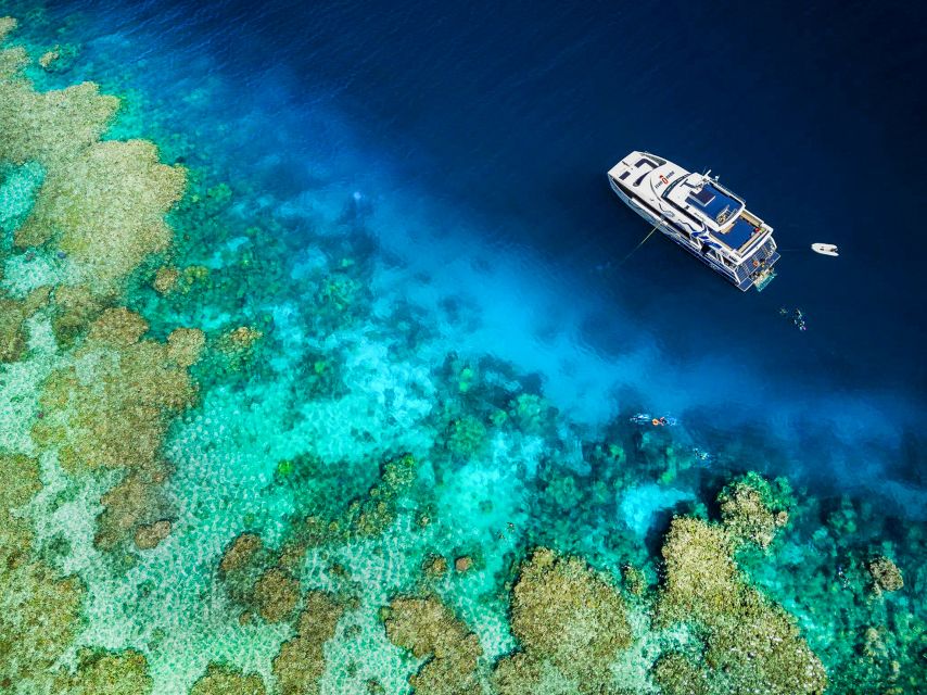 Cairns: Premium Snorkelling and Diving Reef Day Trip - The staff are especially helpful with nerves