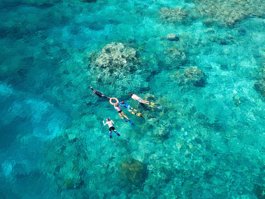 Cairns: Snorkelling and Diving Reef Day Trip - Leaving Cairns for the outer reef