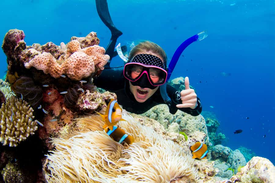 Cairns: Snorkelling and Diving Reef Day Trip - Four hours between two reef sites