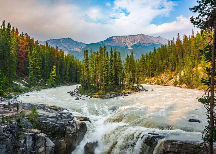 Calgary: Day Trip to Jasper with Lunch - Why the $110 price can make sense