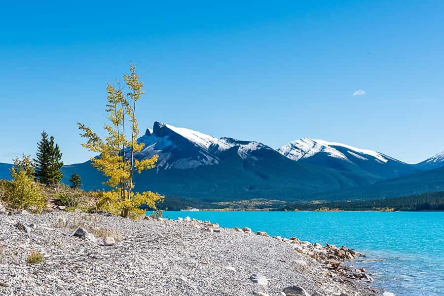 Calgary: Day Trip to Jasper with Lunch - Who should book this day trip?