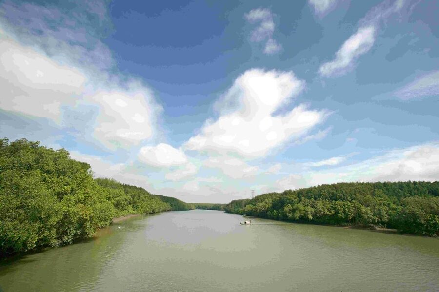 Can Gio: Discovery Vam Sat EcoPark - Can Gio Island Day Trip - Key points to know before booking
