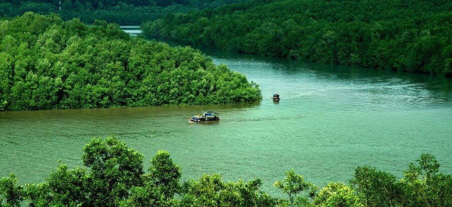 Can Gio: Discovery Vam Sat EcoPark - Can Gio Island Day Trip - What the Vam Sat trip is really like