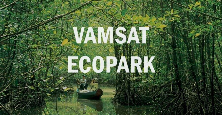 Can Gio: Discovery Vam Sat EcoPark - Can Gio Island Day Trip - Cruising through the Bat Sanctuary