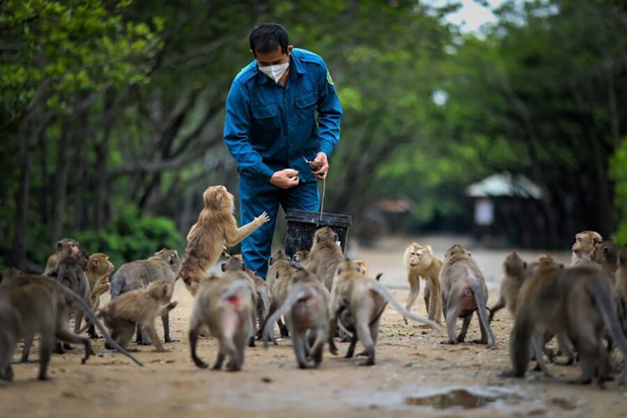 Can Gio: Discovery Vam Sat EcoPark - Can Gio Island Day Trip - Who should book this six-hour outing?