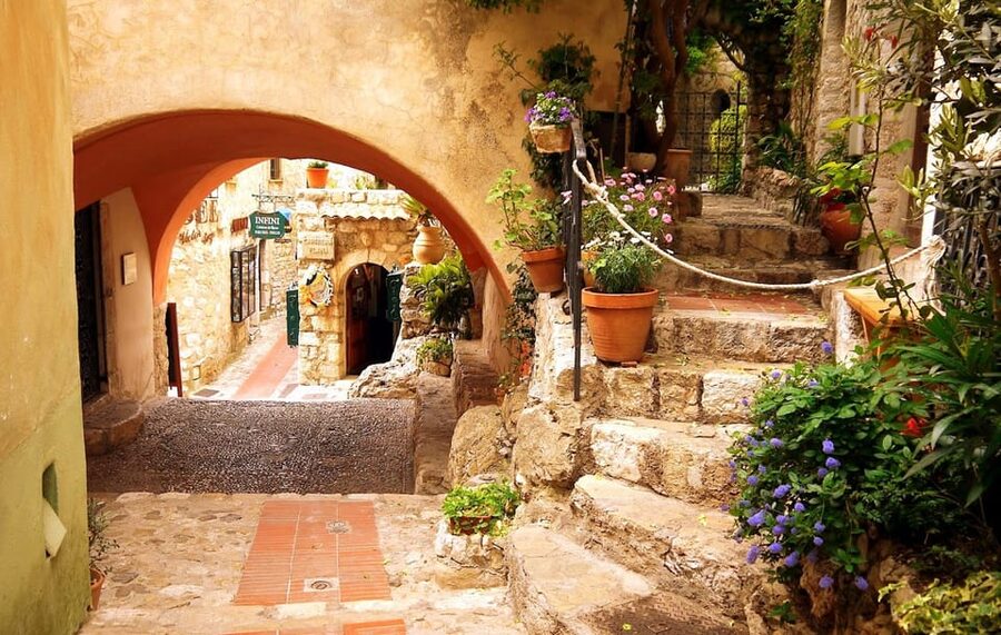 Cannes or Antibes: Nice, Eze, Monaco, & Monte Carlo Day Trip - Who will enjoy this tour most