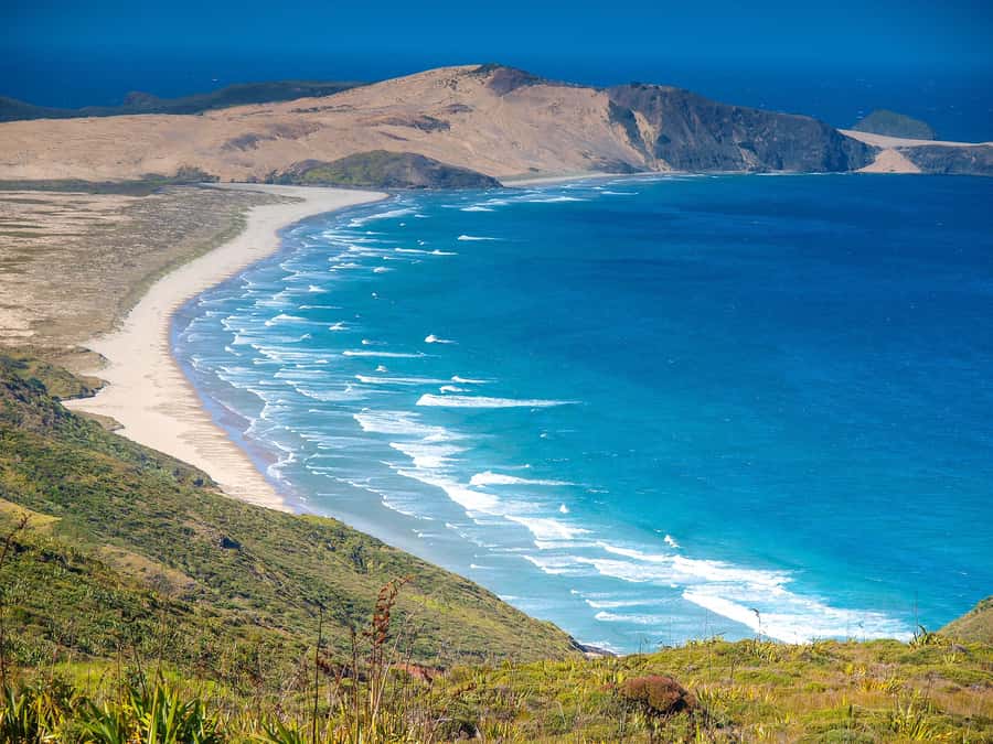 Cape Reinga: Day Trip from Paihia, Kerikeri, or Kaitaia - The day in five memorable moments