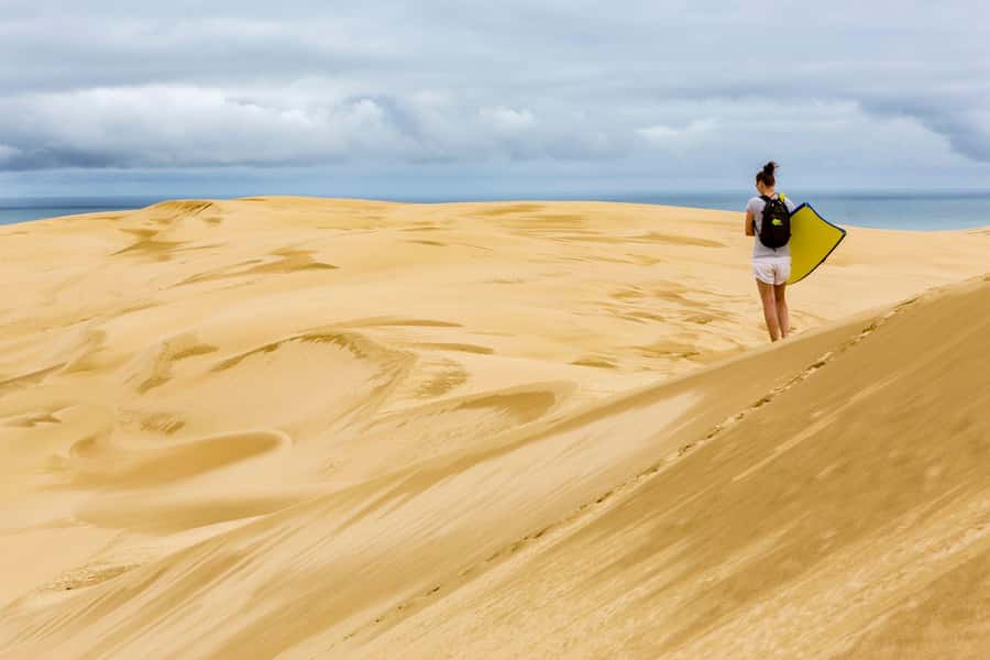 Cape Reinga: Day Trip from Paihia, Kerikeri, or Kaitaia - Why this long Northland day is worth your time