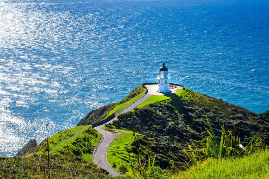 Cape Reinga: Day Trip from Paihia, Kerikeri, or Kaitaia - The coastal road and the ride north