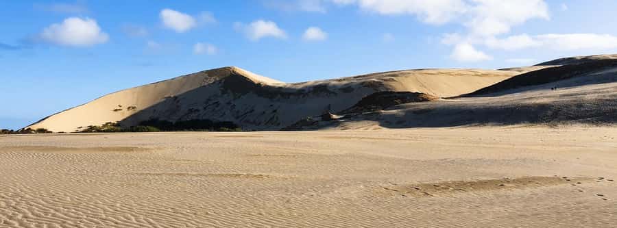 Cape Reinga: Day Trip from Paihia, Kerikeri, or Kaitaia - Cape Reinga and the meeting of two oceans