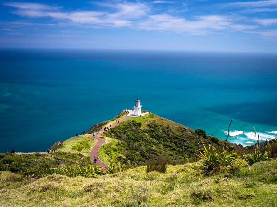 Cape Reinga: Day Trip from Paihia, Kerikeri, or Kaitaia - Pickup times from Paihia, Kerikeri, and Kaitaia