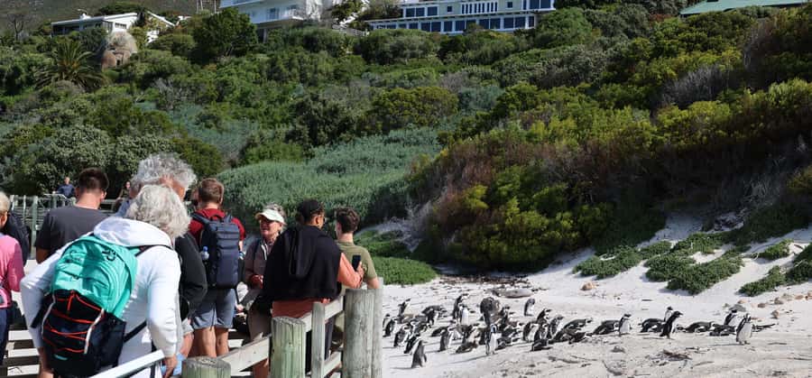 Cape Town: Cape Peninsula & Table Mountain Private Day Trip - Key points at a glance