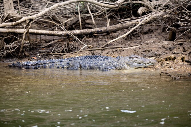 Cape Tribulation, Mossman Gorge, and Daintree Rainforest Day Trip - Quick facts about this Tropical North Queensland day