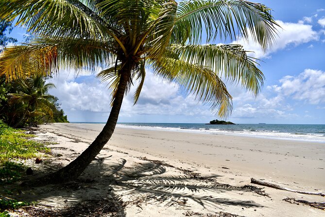 Cape Tribulation, Mossman Gorge, and Daintree Rainforest Day Trip - Walking through the Daintree at Dubuji