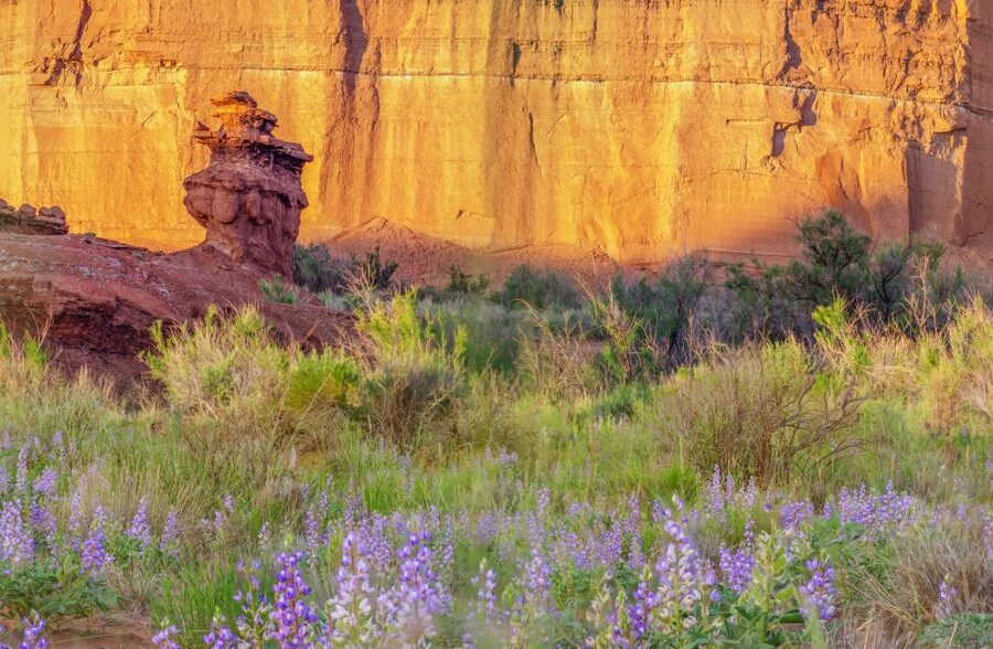 Capitol Reef National Park: Cathedral Valley Day Trip - The Temples of the Sun and Moon at their best