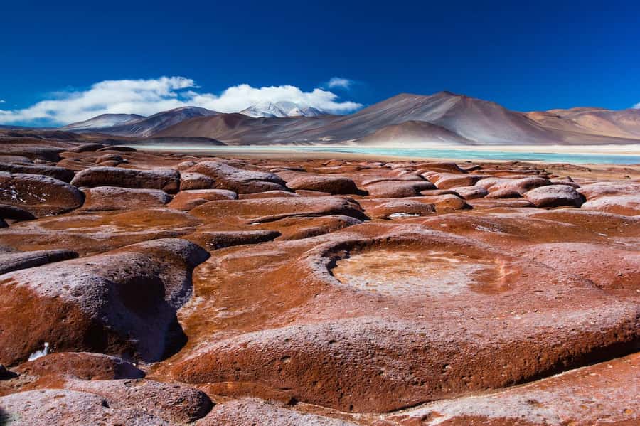 Caracoles: Red Stones of Atacama and Chaxa Guided Day Trip - Key points at a glance