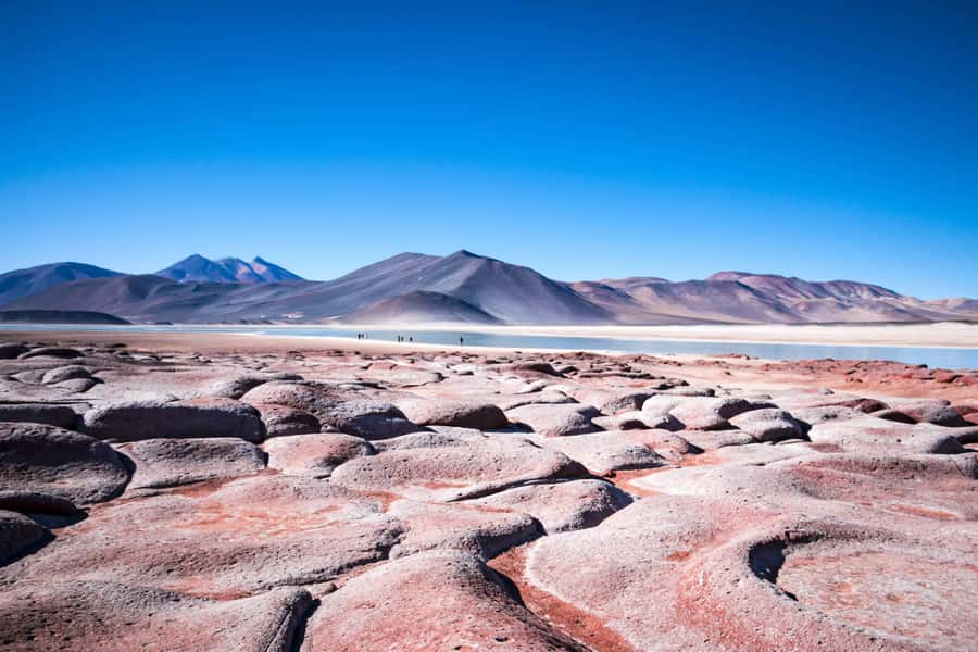 Caracoles: Red Stones of Atacama and Chaxa Guided Day Trip - Chaxa Lagoon and its famous flamingos