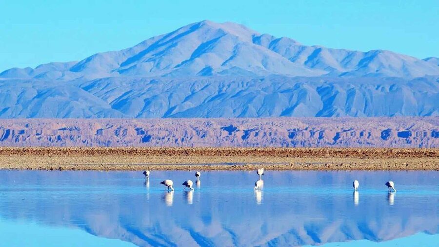 Caracoles: Red Stones of Atacama and Chaxa Guided Day Trip - Breakfast and lunch where the views do the work