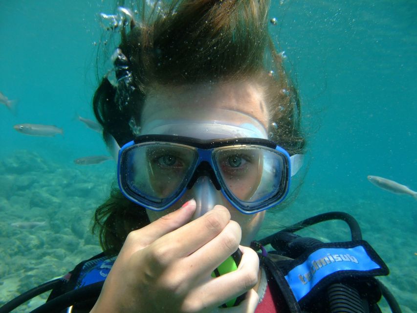 Cartagena: Scuba Diving Day Trip at Playa Blanca with Lunch - The underwater session: one hour on paper