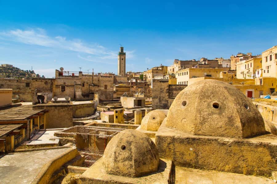 Casablanca to Fez: Scenic & Historical Day Trip with Lunch - How much free time do you get?