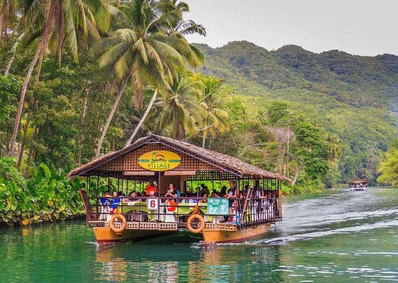 Cebu City: Bohol Countryside Tour with River Cruise Lunch - The man-made forest and a short roadside pause