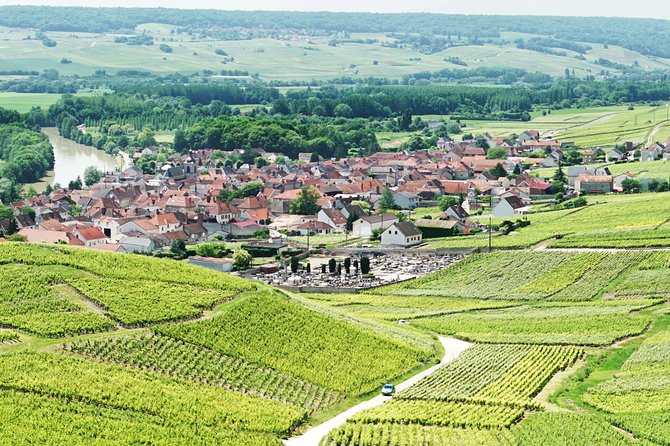 Champagne Day Trip with 6 Tastings, Reims and Winery from Paris - Rolling vineyards and the three main grape varieties