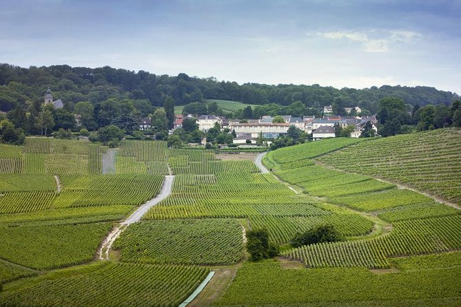 Champagne Region Private Day Trip from Paris - Key points before you book