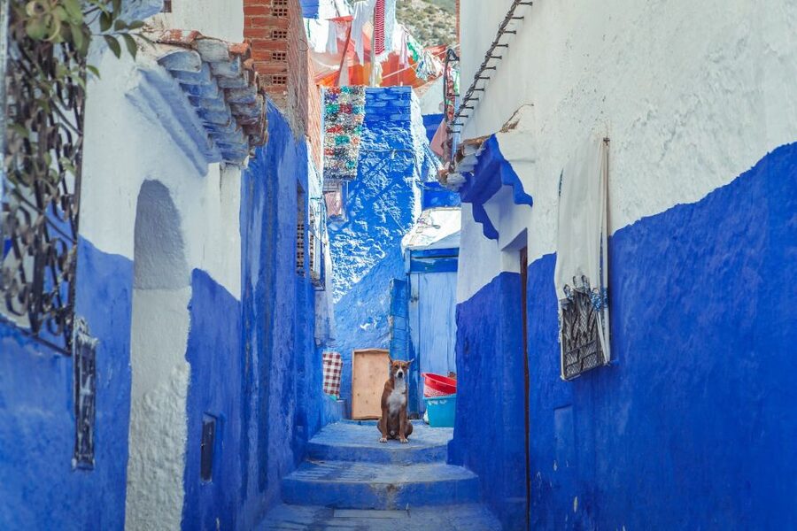 Chefchaouen Day Trip from Fez (Shared Group Tour) - Comfort, accessibility, and what to pack