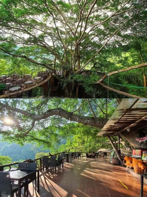 Chiang Mai: The Giant Café & Mae Kampong Village Day Trip - The trip in five useful points