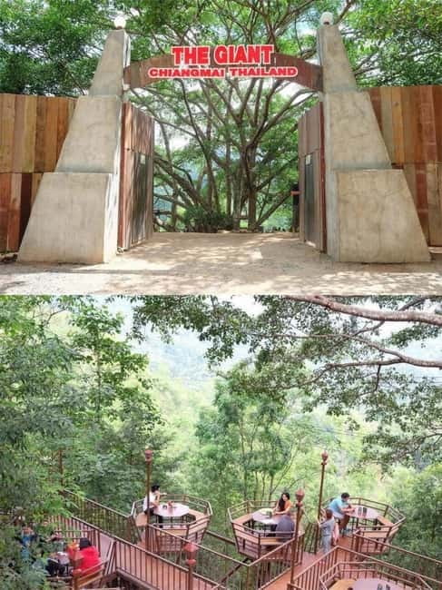 Chiang Mai: The Giant Café & Mae Kampong Village Day Trip - Lunch, with local food and limited time