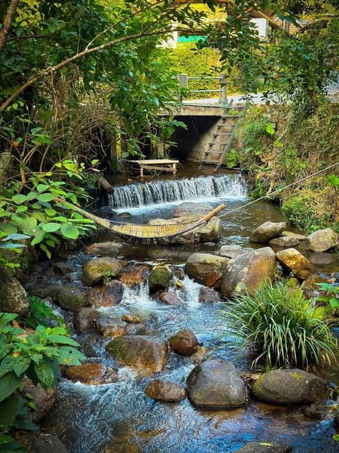 Chiang Mai: The Giant Café & Mae Kampong Village Day Trip - The drivers are a major part of the value