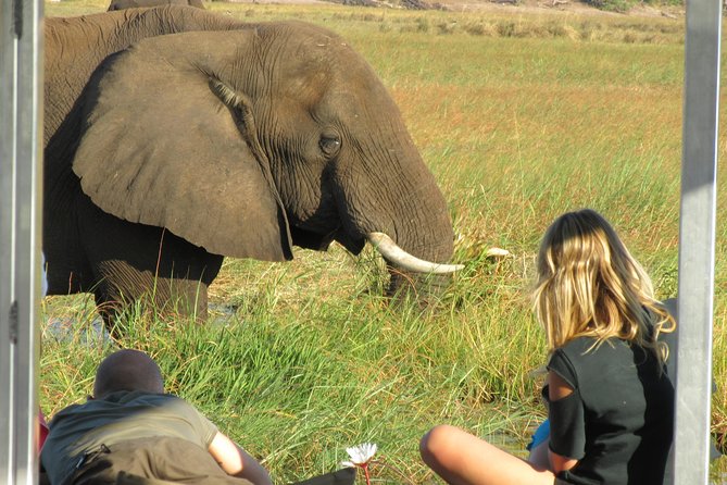 Chobe Day Trip from Victoria Falls, Zimbabwe - Border crossings and the long ride home