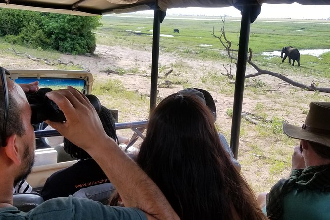 Chobe Day Trip from Victoria Falls, Zimbabwe - How much value do you get for $170?