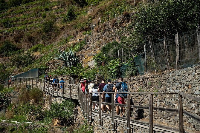 Cinque Terre Day Trip with Optional Hiking or Pisa - Why this Florence day trip works