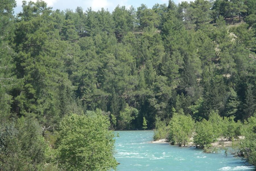 City of Side: Eagle Canyon and Selge Ancient City Day Trip - Forty minutes among Selge’s Roman ruins