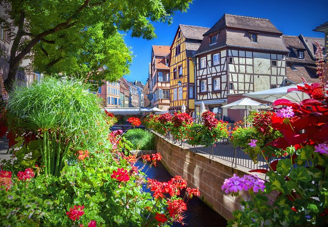 Colmar, Medieval Village & Castle Small Group from Strasbourg - Riquewihr, medieval walls and free time