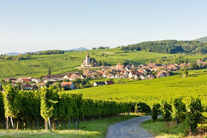 Colmar, Medieval Village & Castle Small Group from Strasbourg - Who should book this tour