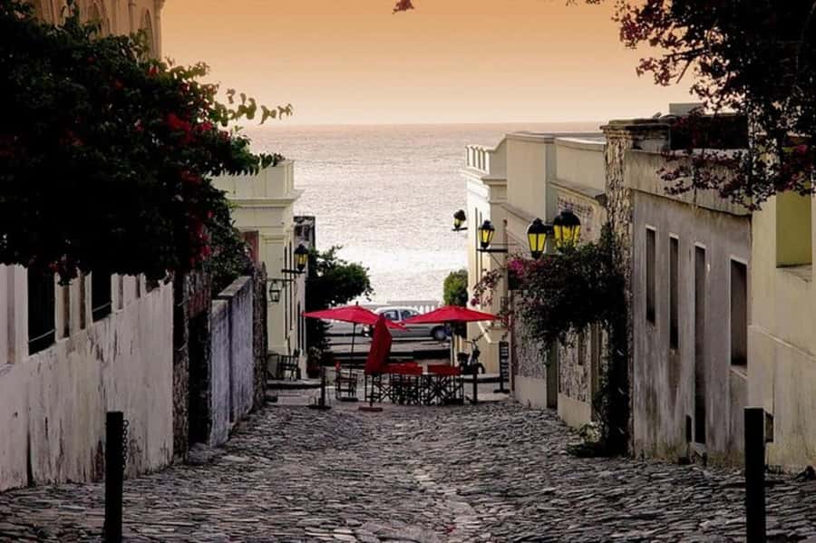 Colonia del Sacramento: Small-Group Day Trip - Guide quality and tour coordination