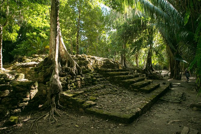 Costa Maya Shore Excursion: Chacchoben Day Trip - Key points at a glance