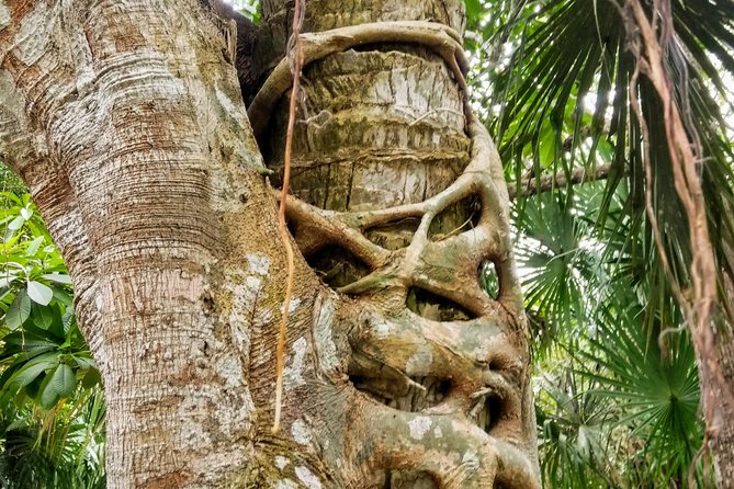 Costa Maya Shore Excursion: Chacchoben Day Trip - Walking through Chacchoben’s main ruins