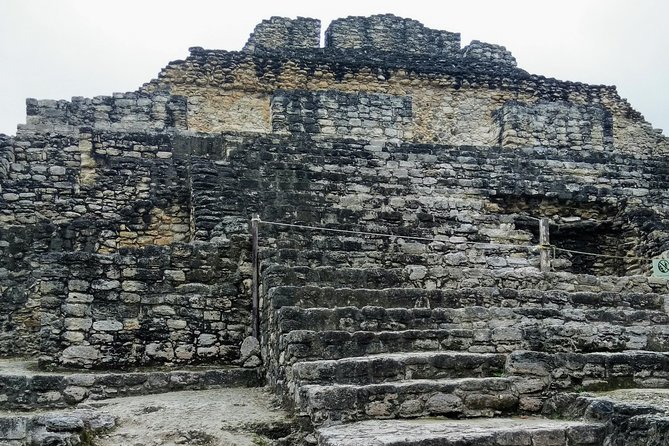 Costa Maya Shore Excursion: Chacchoben Day Trip - Jungle plants and animals around the temples