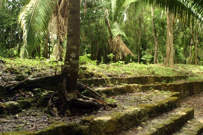 Costa Maya Shore Excursion: Chacchoben Day Trip - The ride from the port to the jungle