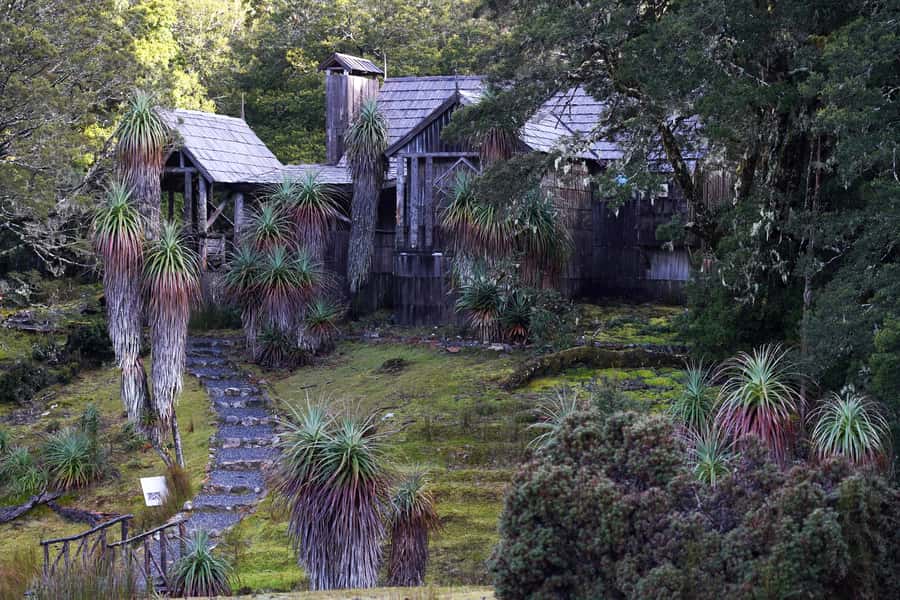 Cradle Mountain: Day Trip from Launceston with Lunch - Five things to know before booking