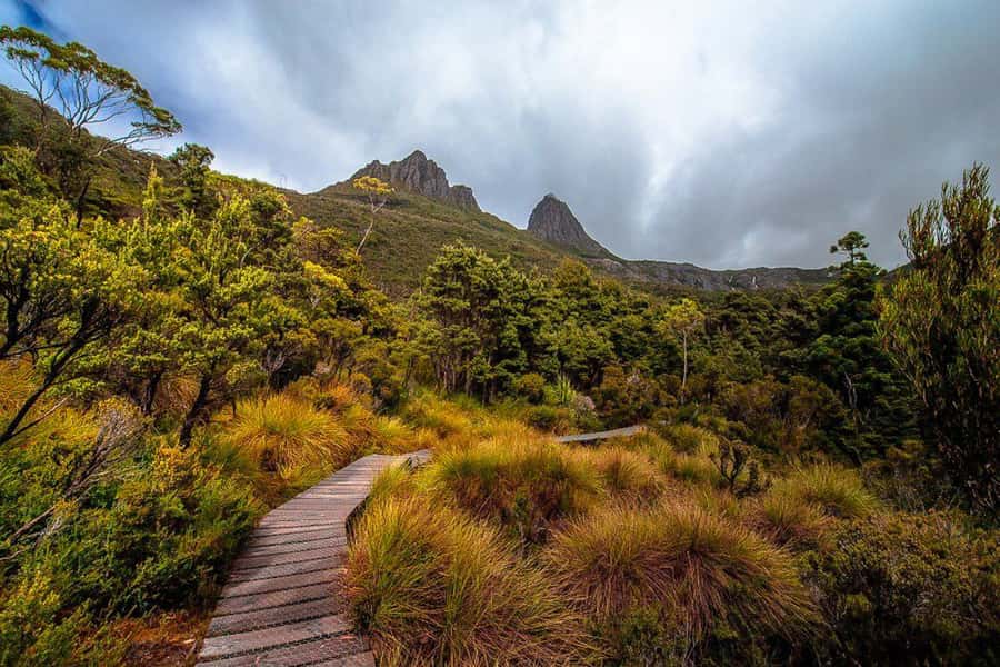 Cradle Mountain: Day Trip from Launceston with Lunch - Why this trip works from Launceston