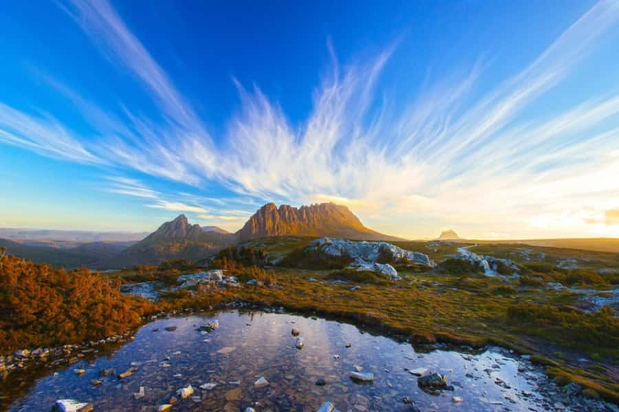 Cradle Mountain: Day Trip from Launceston with Lunch - The road into Cradle Mountain